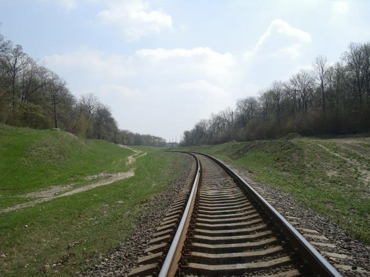 Лісова Волиця з panoramio.com - Лесовая Волица