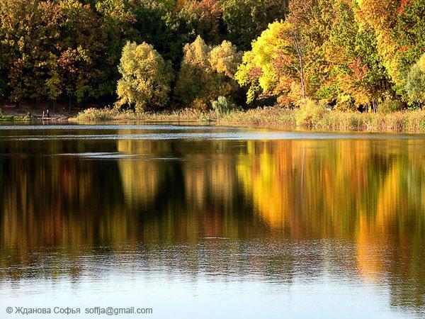 Лісне з panoramio.com - Лесное