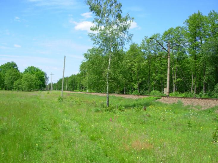 Колісники з panoramio.com - Колісники