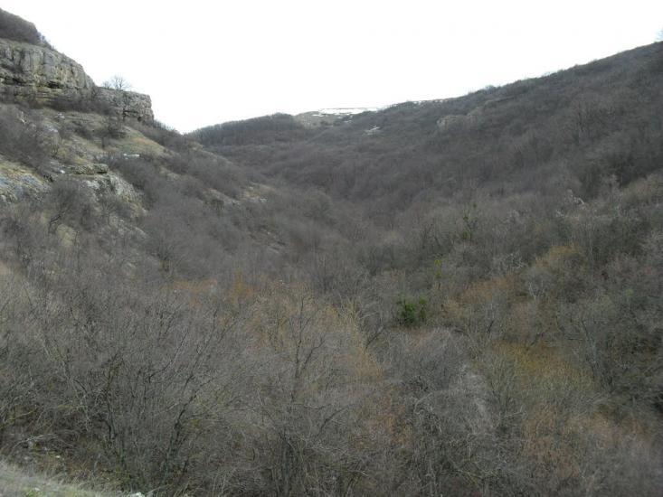 Дружне з panoramio.com - Дружне