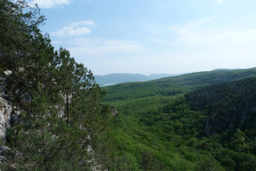 Новобобрівське з panoramio.com - Новобобровское