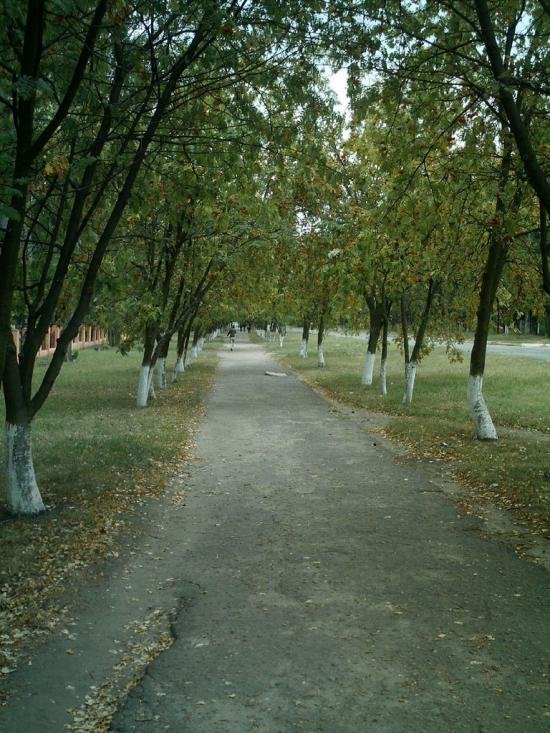 Ківшарівка з panoramio.com - Ківшарівка