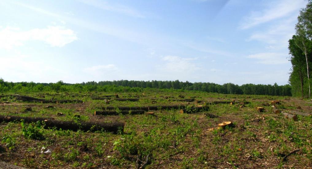 Циркуни з panoramio.com - Циркуни