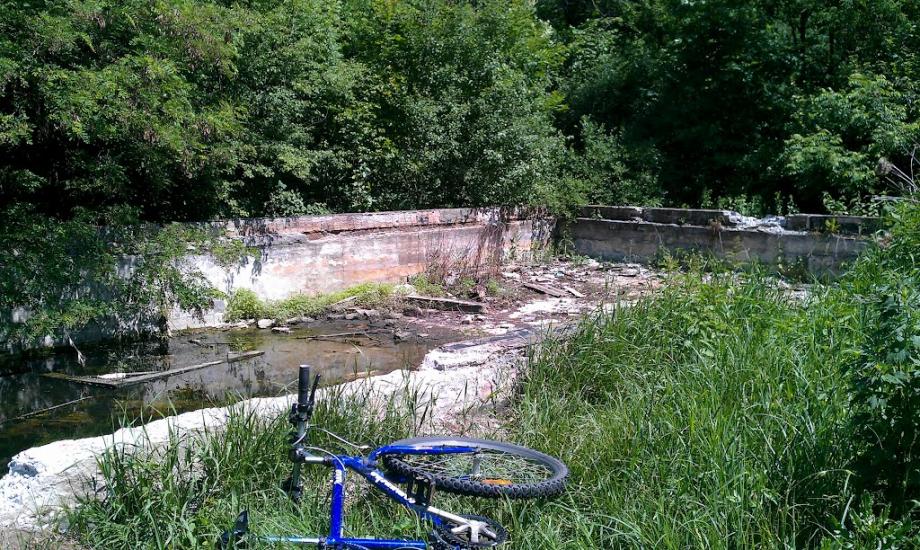 Зайченки з panoramio.com - Зайченки