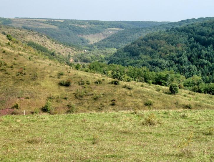 Стрільче з panoramio.com - Стрельче