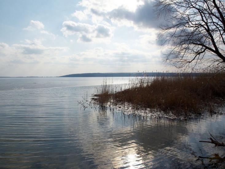 Мартове з panoramio.com - Мартово
