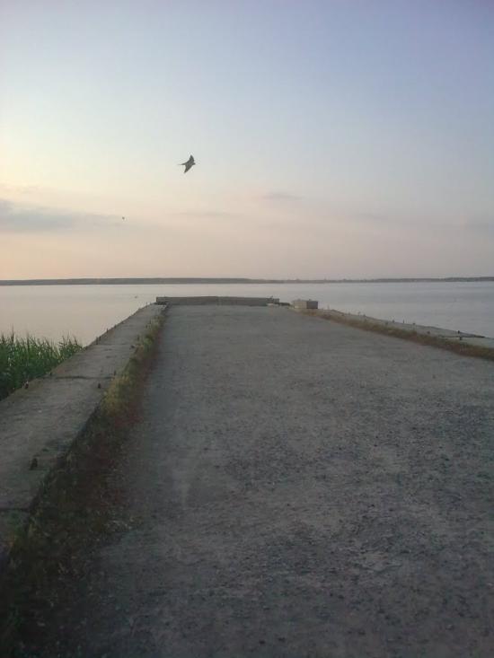 Піски-Радьківські з panoramio.com - Pisky-Radkivski