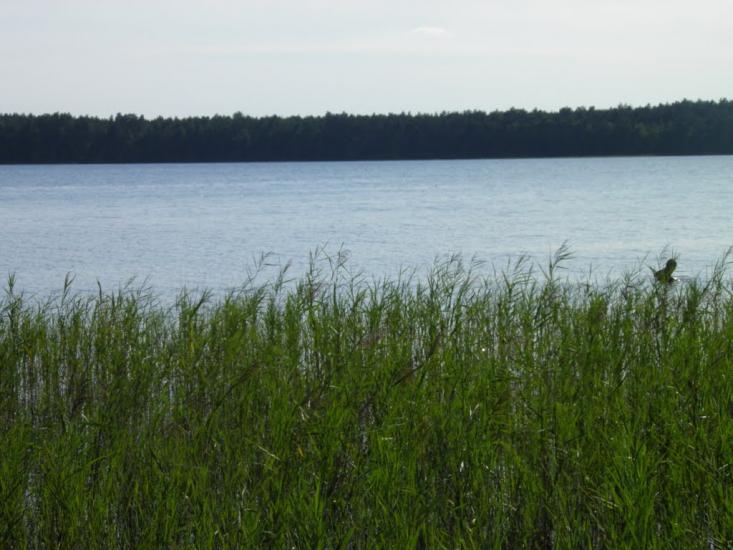 Рудка з panoramio.com - Рудка