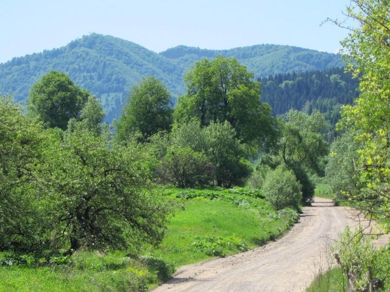 Рибник з panoramio.com - Rybnyk