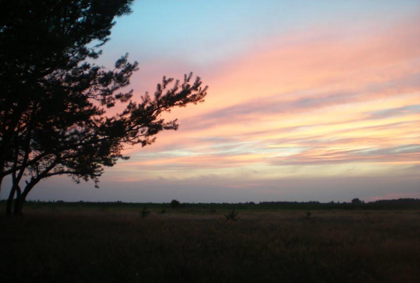 Любохини з panoramio.com - Любохини