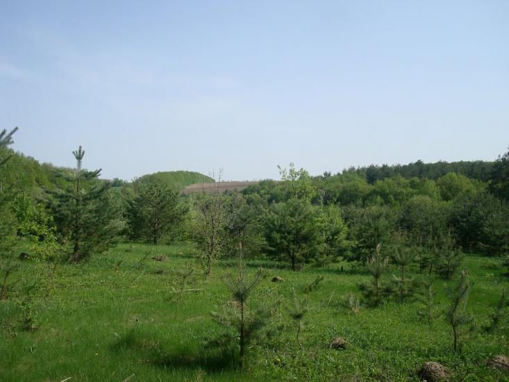 Любомирівка з panoramio.com - Любомировка
