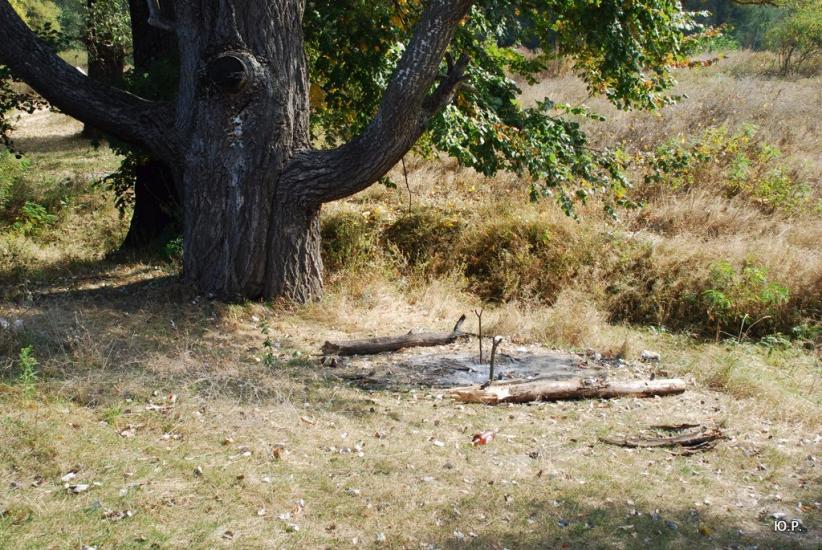 Гавронці з panoramio.com - Гавронці