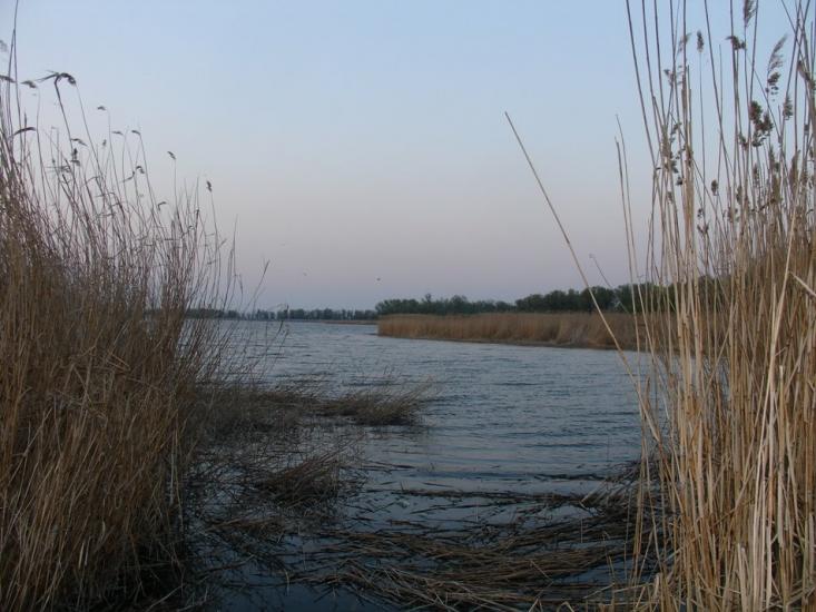 Солонці з panoramio.com - Солонцы
