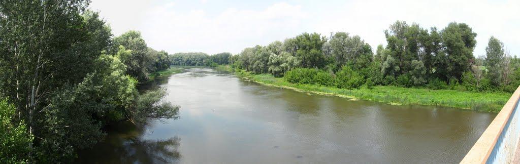 Студенок з panoramio.com - Студенок