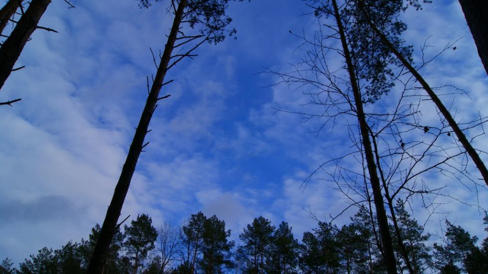 Дідовичі з panoramio.com - Дідовичі