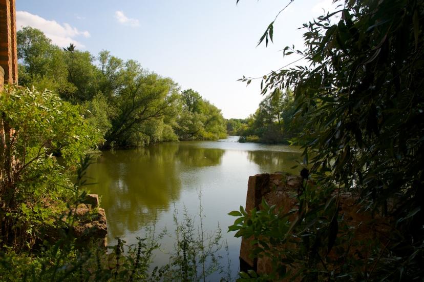 Новофастів з panoramio.com - Новофастів
