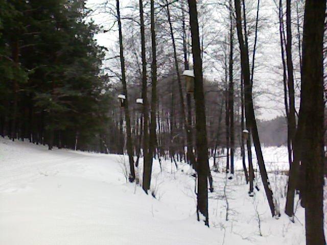 Мелені з panoramio.com - Meleni