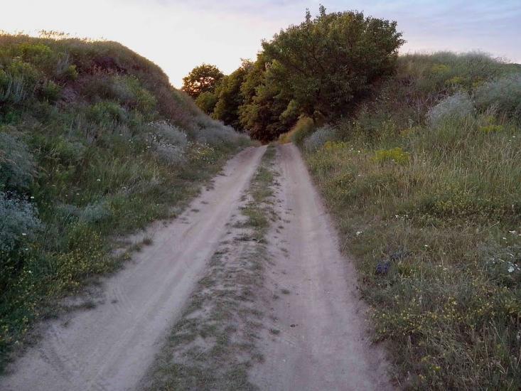Велика Багачка з panoramio.com - Великая Багачка