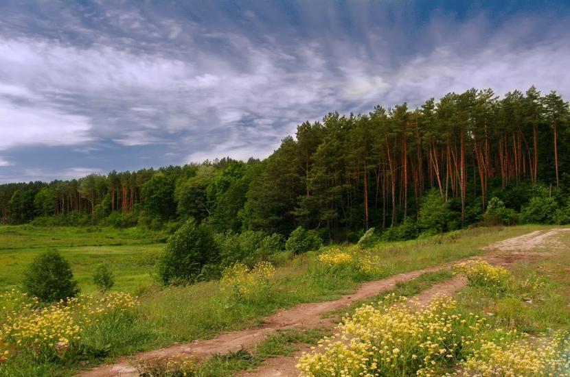 Житомир з panoramio.com - Житомир