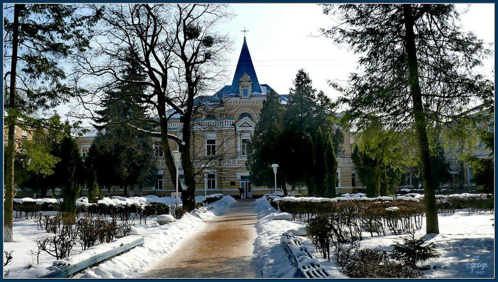 Прибузьке з panoramio.com - Прибугское