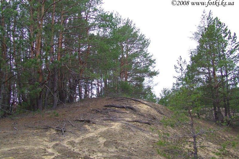 Великі Копані з panoramio.com - Великие Копани