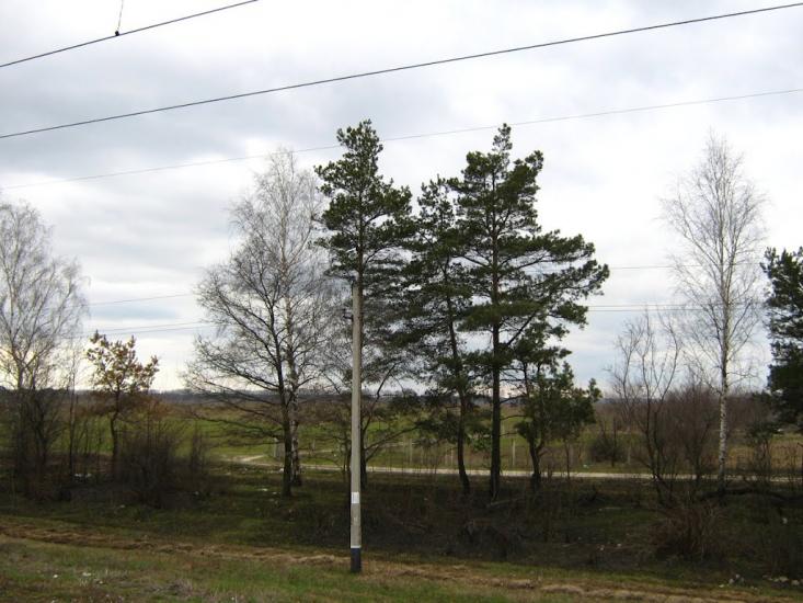 Рудня з panoramio.com - Рудня