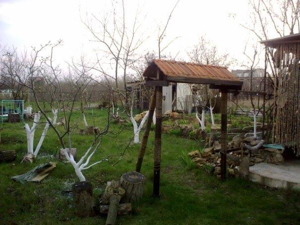 Пшонянове з panoramio.com - Пшеняново