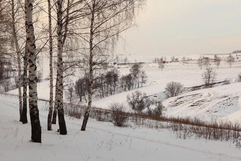 Черкаська Лозова з panoramio.com - Черкасская Лозовая