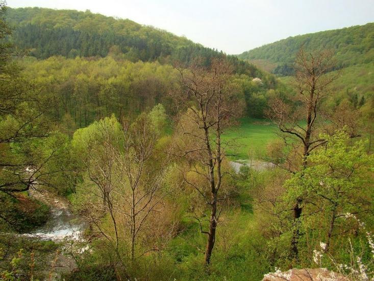 Нирків з panoramio.com - Нырков