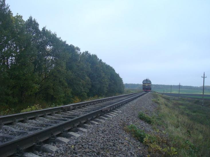 Верхівці з panoramio.com - Верхівці