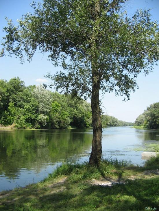 Стародубівка з panoramio.com - Стародубовка