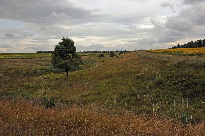 Суха Балка з panoramio.com - Суха Балка