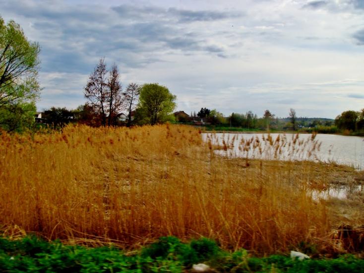 Тараща з panoramio.com - Тараща