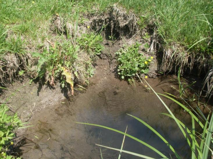 Карбівське з panoramio.com - Карбівське