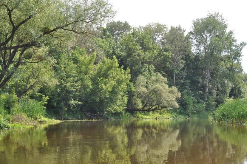 Лабурівка з panoramio.com - Лабуревка