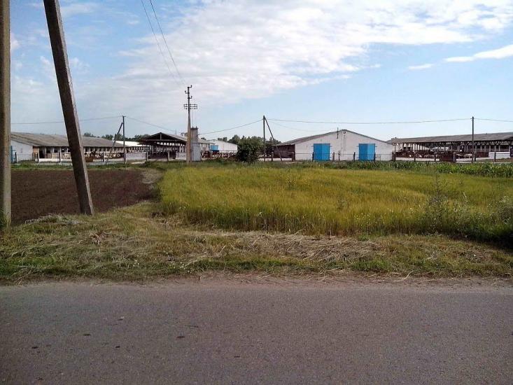 Матяшівка з panoramio.com - Матяшівка