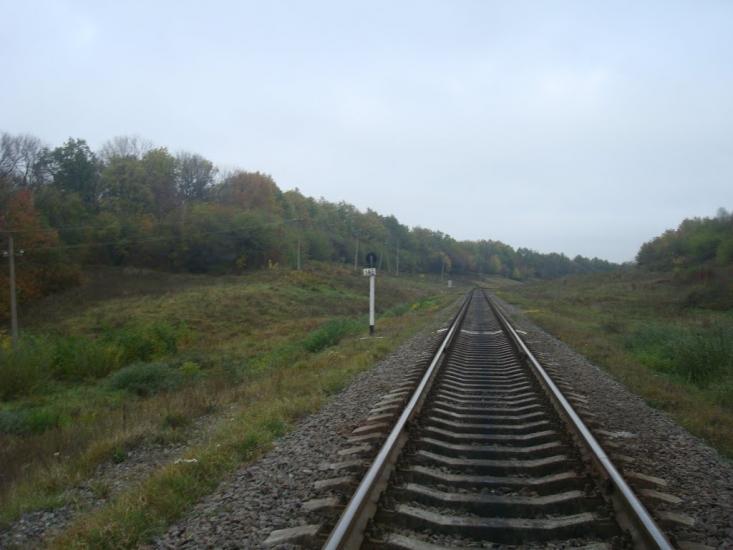 Буйволівці з panoramio.com - Буйволовцы