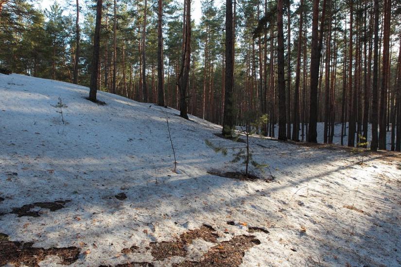 Дачне з panoramio.com - Дачное