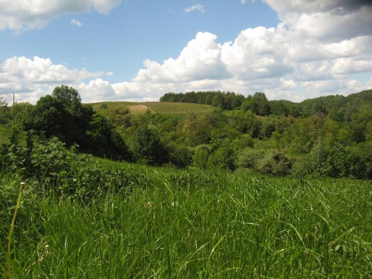 Григорівка з panoramio.com - Григорівка