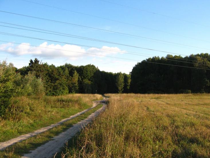 Підлісся з panoramio.com - Подлесье