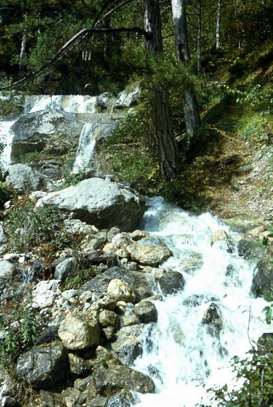 Відрадне з panoramio.com - Відрадне