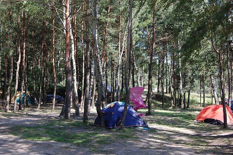 Хрінники з panoramio.com - Khrinnyky