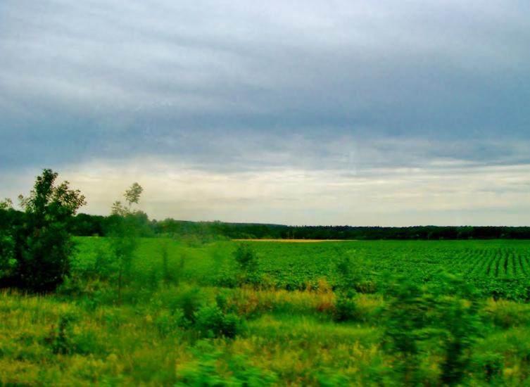 Звенигородка з panoramio.com - Звенигородка