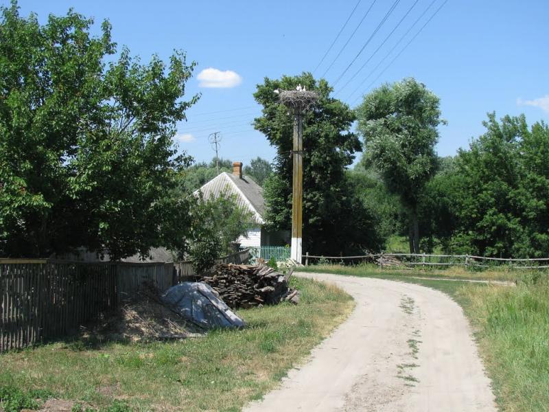 Пушкарівка з panoramio.com - Пушкаревка