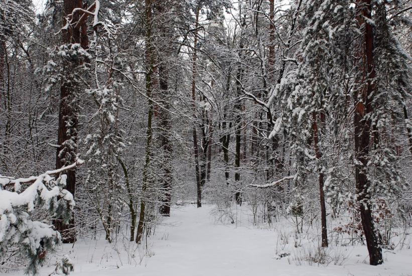 Геронимівка з panoramio.com - Геронимівка