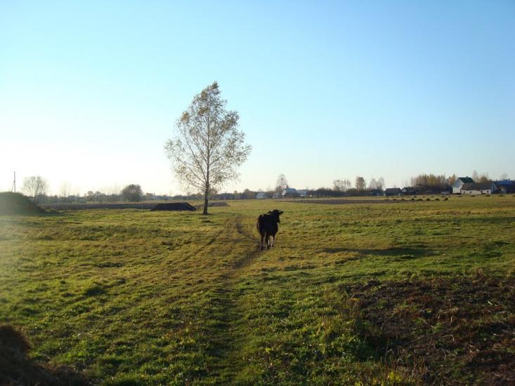 Хотешів з panoramio.com - Хотешов
