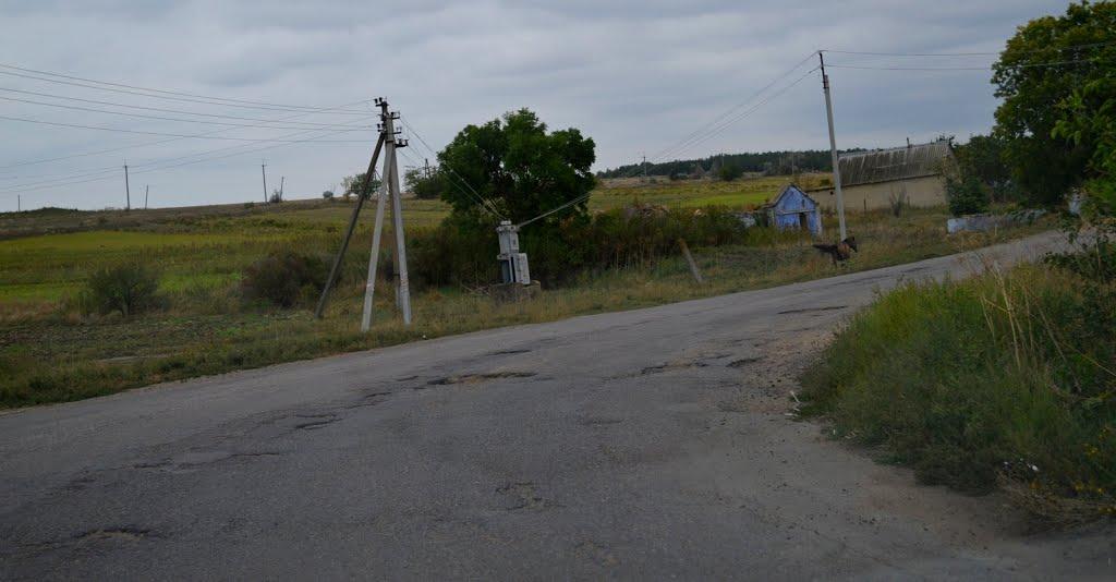 Шеметове з panoramio.com - Шеметове