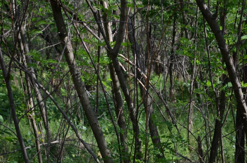 Замірці з panoramio.com - Замірці