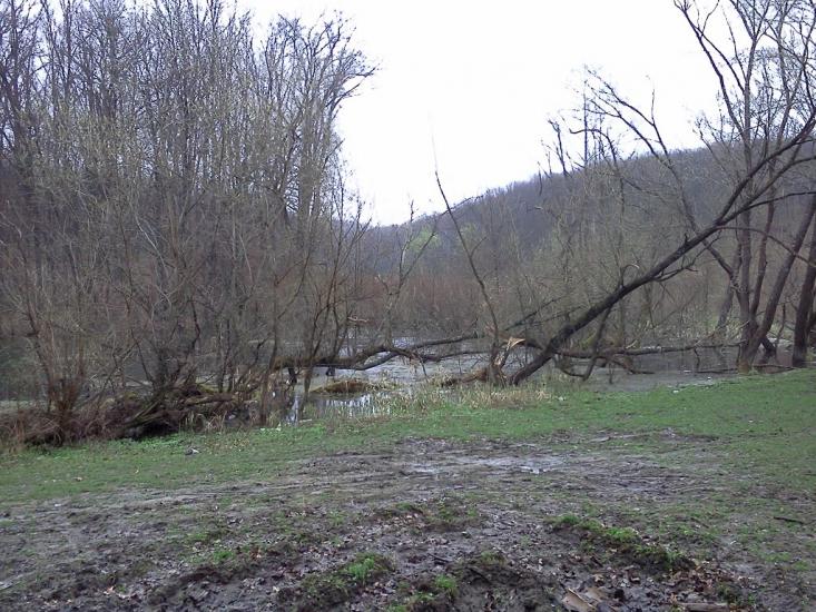 Богуслав з panoramio.com - Богуслав