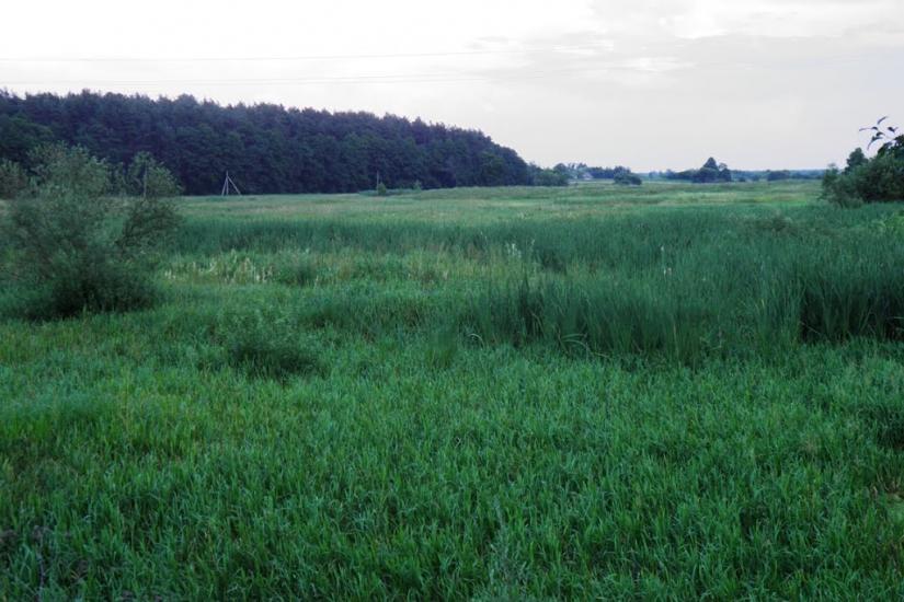 Бодячів з panoramio.com - Бодячев